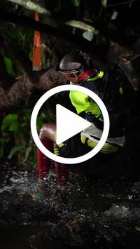 BIB:  <button type="button" onclick="openModal(27565327)" class="btn btn-primary btn-sm float-right" data-toggle="modal" data-target=".modal-high-quality">
                <i class="fa fa-download"></i> Download
                </button>